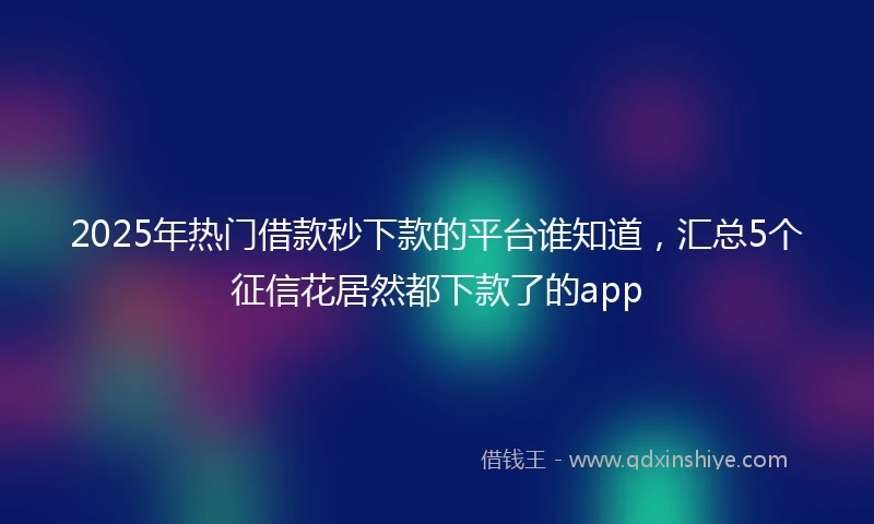 2025年热门借款秒下款的平台谁知道，汇总5个征信花居然都下款了的app