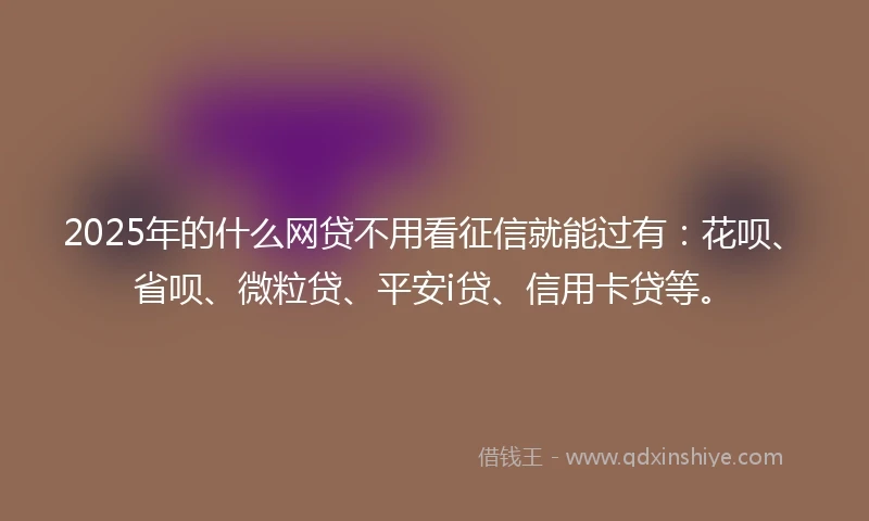 2025年的什么网贷不用看征信就能过有：花呗、省呗、微粒贷、平安i贷、信用卡贷等。