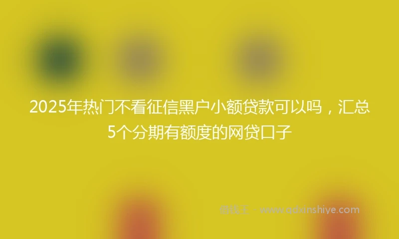 2025年热门不看征信黑户小额贷款可以吗,汇总5个分期有额度的网贷口子