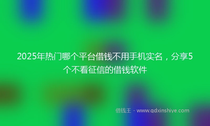 2025年热门哪个平台借钱不用手机实名,分享5个不看征信的借钱软件