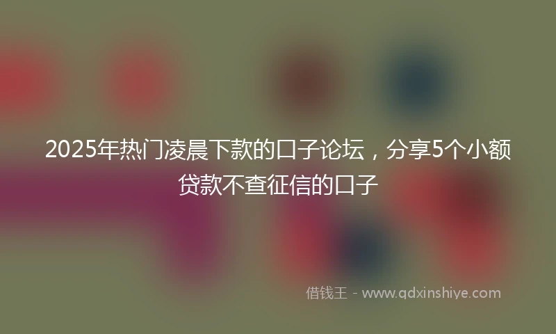 2025年热门凌晨下款的口子论坛，分享5个小额贷款不查征信的口子