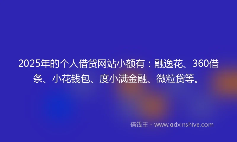 2025年的个人借贷网站小额有：融逸花、360借条、小花钱包、度小满金融、微粒贷等。