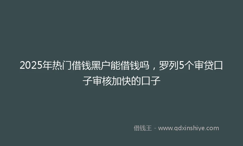 2025年热门借钱黑户能借钱吗，罗列5个审贷口子审核加快的口子