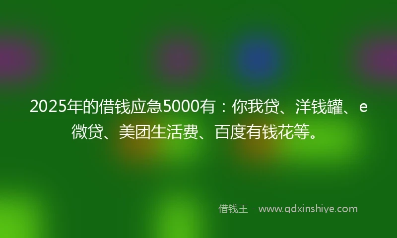 2025年的借钱应急5000有：你我贷、洋钱罐、e微贷、美团生活费、百度有钱花等。