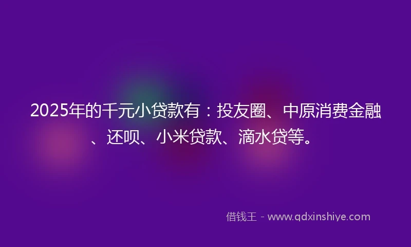 2025年的千元小贷款有：投友圈、中原消费金融、还呗、小米贷款、滴水贷等。