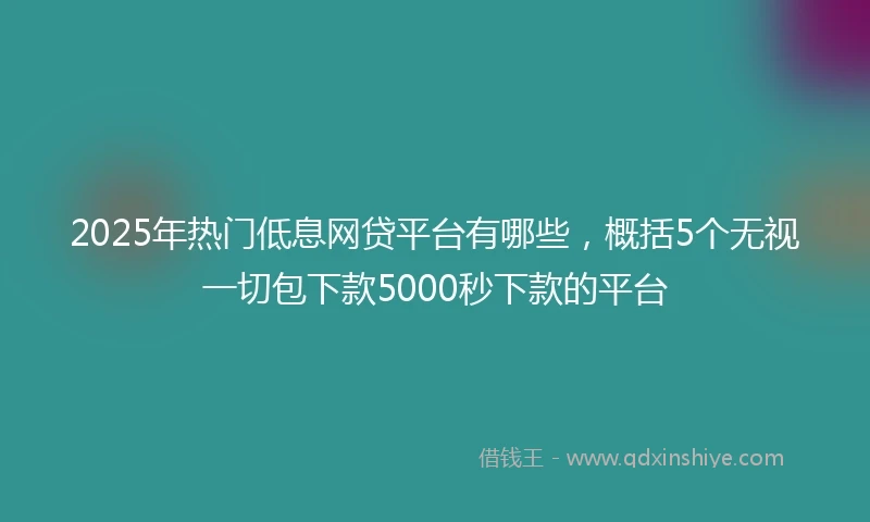 2025年热门低息网贷平台有哪些，概括5个无视一切包下款5000秒下款的平台