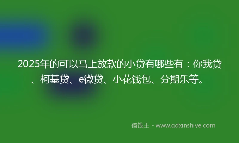 2025年的可以马上放款的小贷有哪些有：你我贷、柯基贷、e微贷、小花钱包、分期乐等。