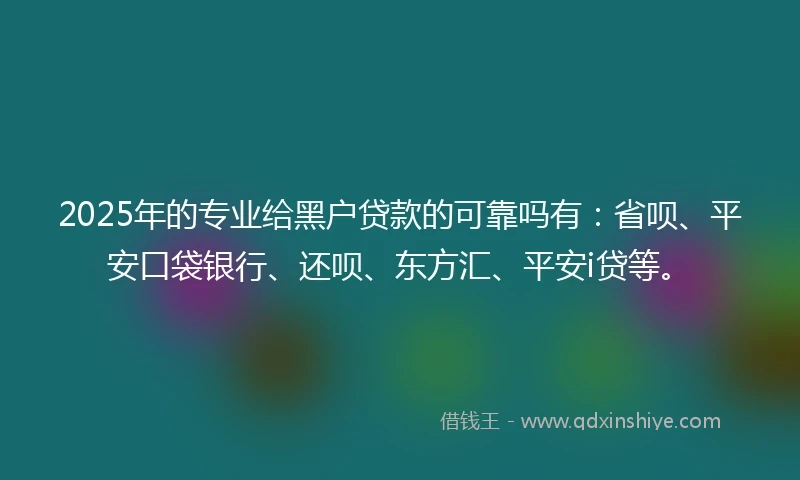 2025年的专业给黑户贷款的可靠吗有：省呗、平安口袋银行、还呗、东方汇、平安i贷等。