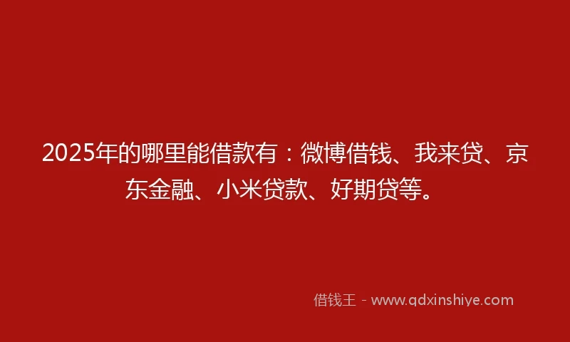2025年的哪里能借款有：微博借钱、我来贷、京东金融、小米贷款、好期贷等。