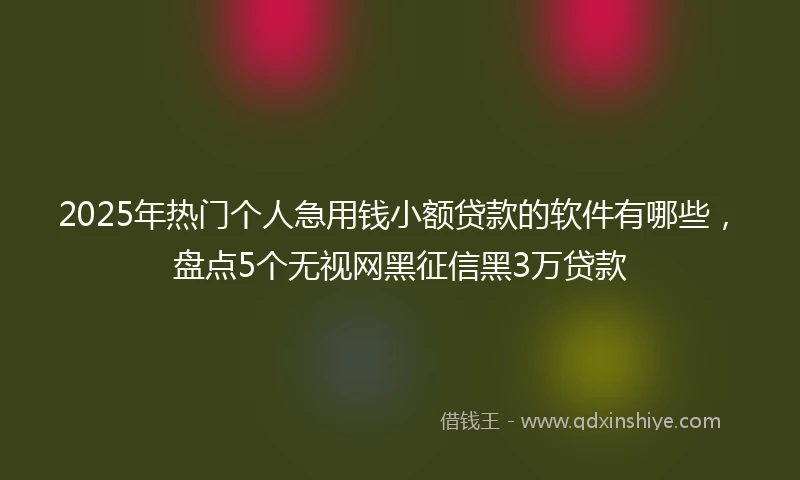2025年热门个人急用钱小额贷款的软件有哪些，盘点5个无视网黑征信黑3万贷款