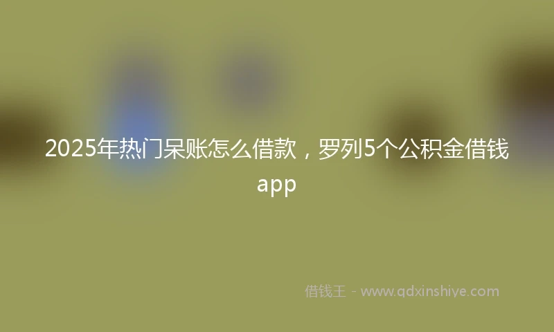 2025年热门呆账怎么借款，罗列5个公积金借钱app