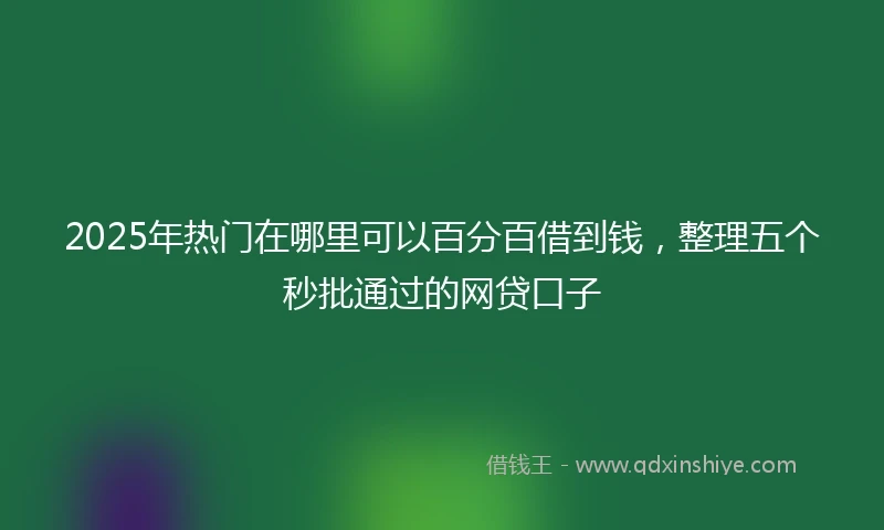 2025年热门在哪里可以百分百借到钱，整理五个秒批通过的网贷口子