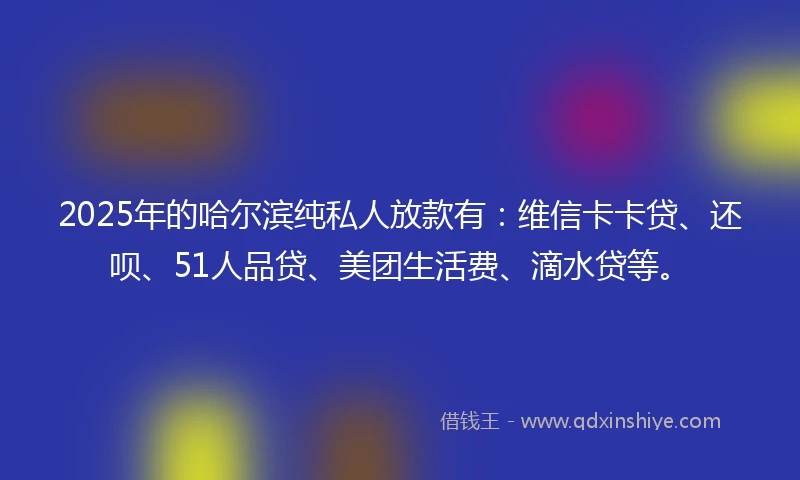 2025年的哈尔滨纯私人放款有：维信卡卡贷、还呗、51人品贷、美团生活费、滴水贷等。