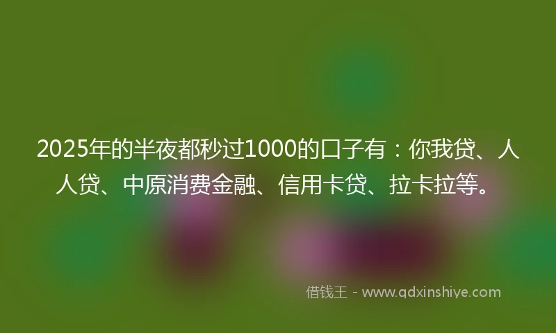 2025年的半夜都秒过1000的口子有：你我贷、人人贷、中原消费金融、信用卡贷、拉卡拉等。