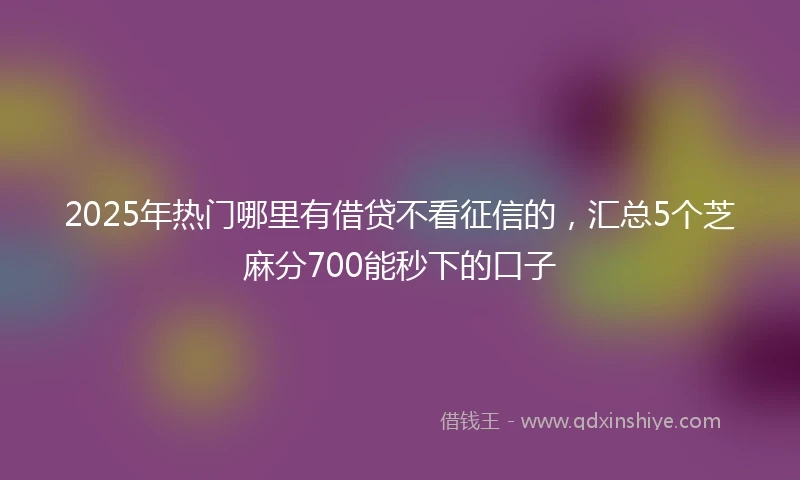 2025年热门哪里有借贷不看征信的，汇总5个芝麻分700能秒下的口子