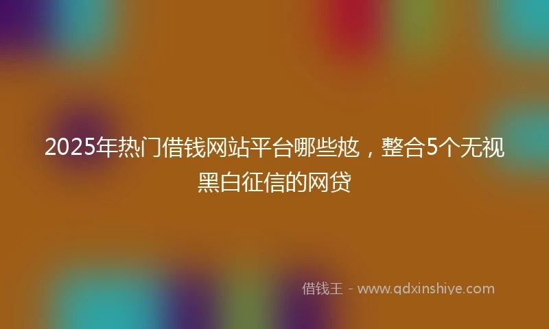 2025年热门借钱网站平台哪些奿，整合5个无视黑白征信的网贷