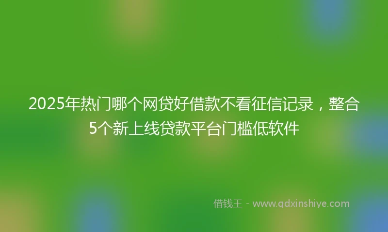 2025年热门哪个网贷好借款不看征信记录，整合5个新上线贷款平台门槛低软件