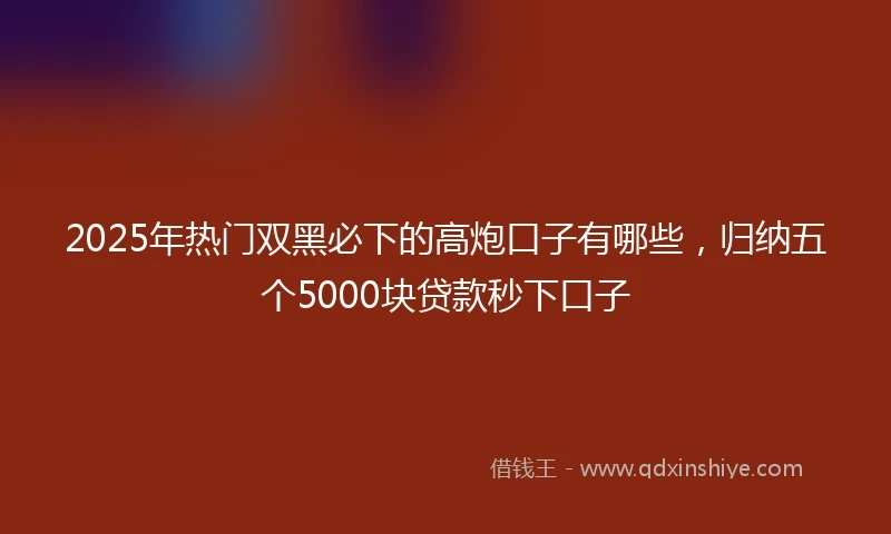 2025年热门双黑必下的高炮口子有哪些，归纳五个5000块贷款秒下口子