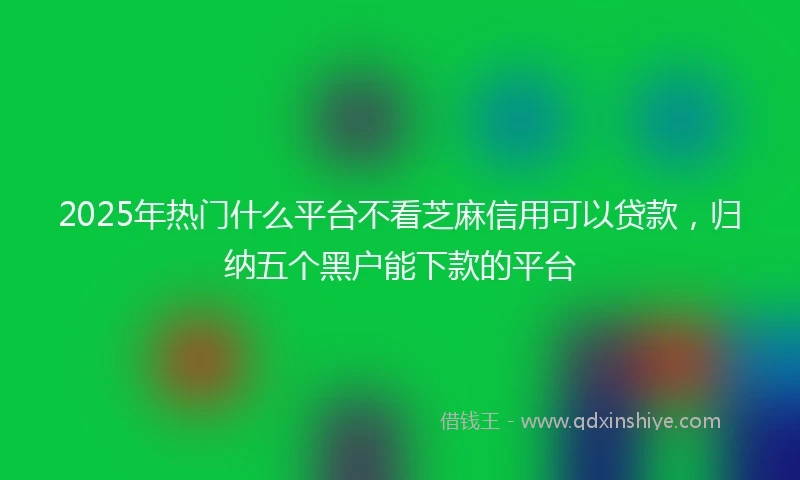 2025年热门什么平台不看芝麻信用可以贷款，归纳五个黑户能下款的平台