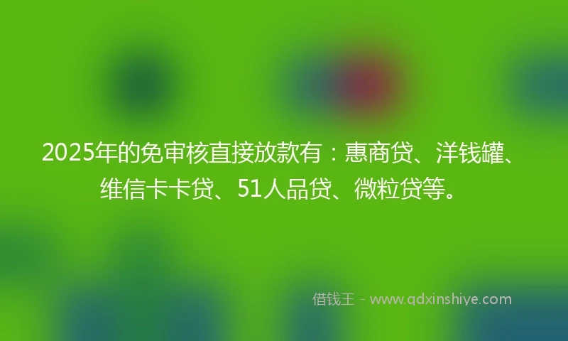 2025年的免审核直接放款有：惠商贷、洋钱罐、维信卡卡贷、51人品贷、微粒贷等。