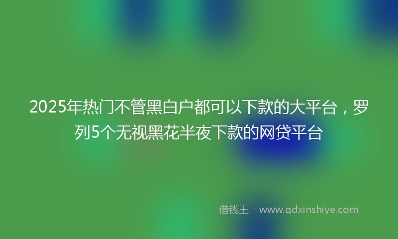 2025年热门不管黑白户都可以下款的大平台，罗列5个无视黑花半夜下款的网贷平台