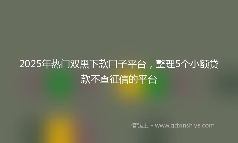2025年热门双黑下款口子平台，整理5个小额贷款不查征信的平台