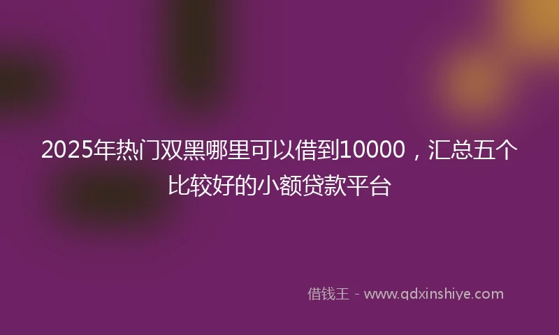 2025年热门双黑哪里可以借到10000，汇总五个比较好的小额贷款平台