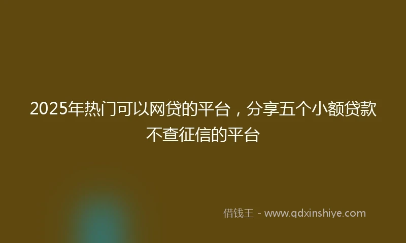 2025年热门可以网贷的平台，分享五个小额贷款不查征信的平台