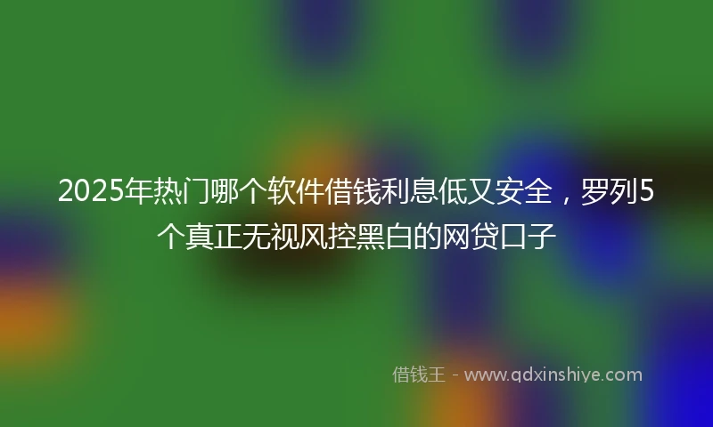 2025年热门哪个软件借钱利息低又安全，罗列5个真正无视风控黑白的网贷口子
