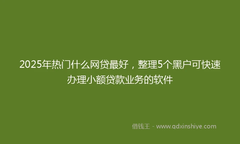 2025年热门什么网贷最好，整理5个黑户可快速办理小额贷款业务的软件