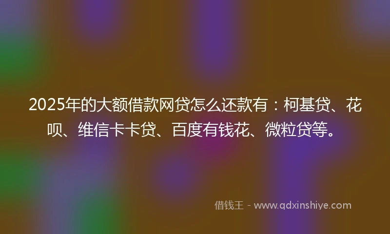 2025年的大额借款网贷怎么还款有：柯基贷、花呗、维信卡卡贷、百度有钱花、微粒贷等。