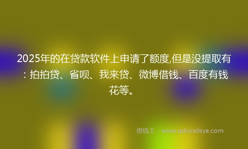 2025年的在贷款软件上申请了额度,但是没提取有：拍拍贷、省呗、我来贷、微博借钱、百度有钱花等。