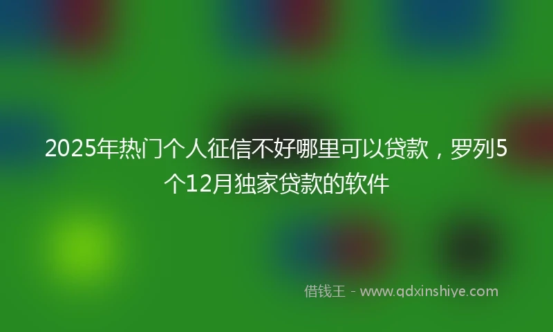 2025年热门个人征信不好哪里可以贷款，罗列5个12月独家贷款的软件