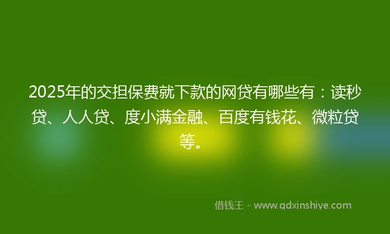 2025年的交担保费就下款的网贷有哪些有：读秒贷、人人贷、度小满金融、百度有钱花、微粒贷等。