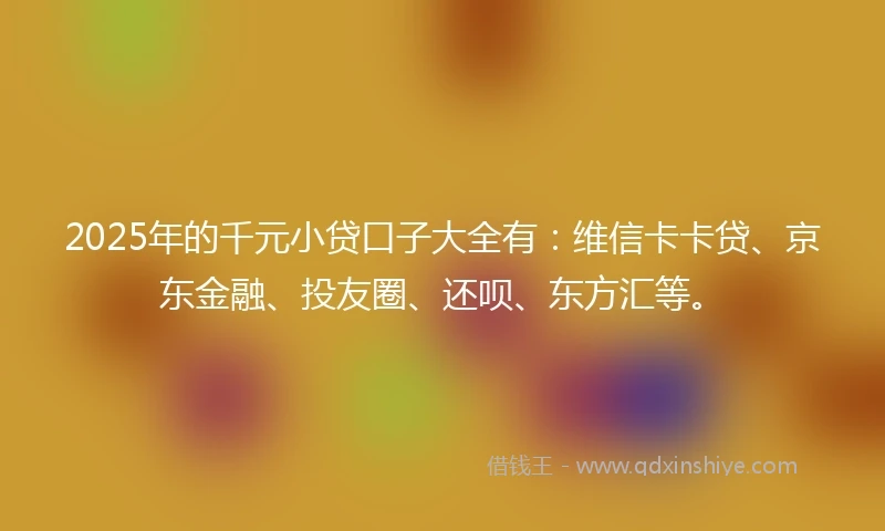 2025年的千元小贷口子大全有：维信卡卡贷、京东金融、投友圈、还呗、东方汇等。