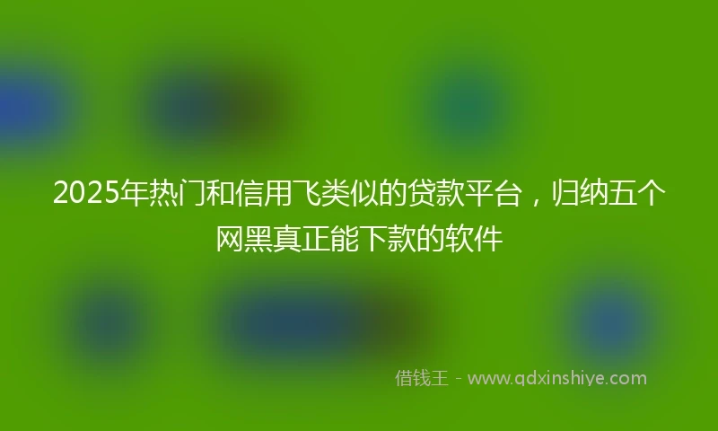 2025年热门和信用飞类似的贷款平台，归纳五个网黑真正能下款的软件