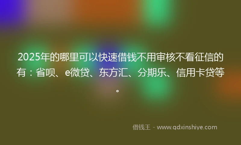 2025年的哪里可以快速借钱不用审核不看征信的有：省呗、e微贷、东方汇、分期乐、信用卡贷等。