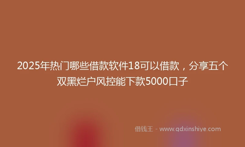 2025年热门哪些借款软件18可以借款,分享五个双黑烂户风控能下款5000口子
