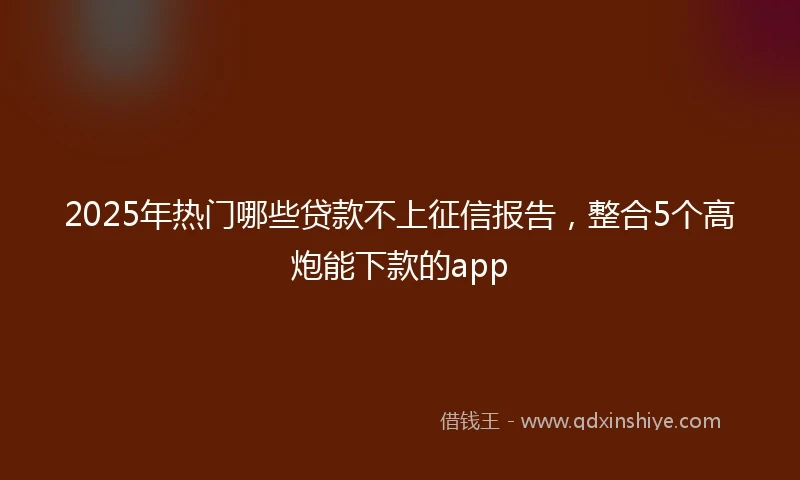 2025年热门哪些贷款不上征信报告，整合5个高炮能下款的app