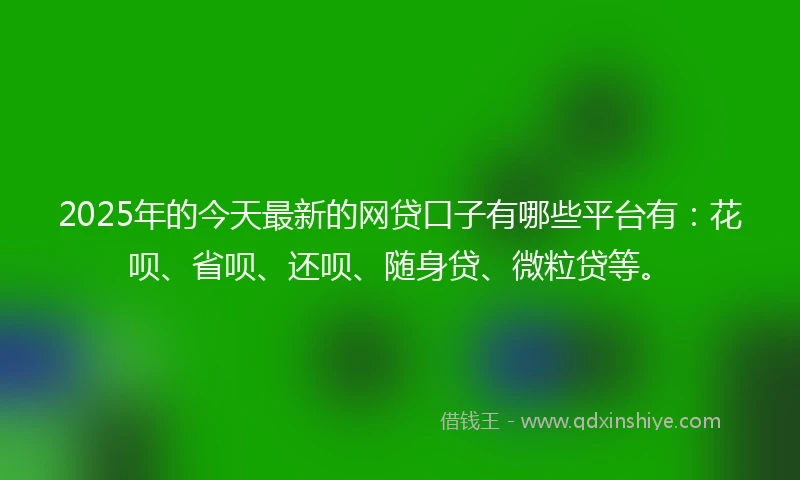 2025年的今天最新的网贷口子有哪些平台有：花呗、省呗、还呗、随身贷、微粒贷等。