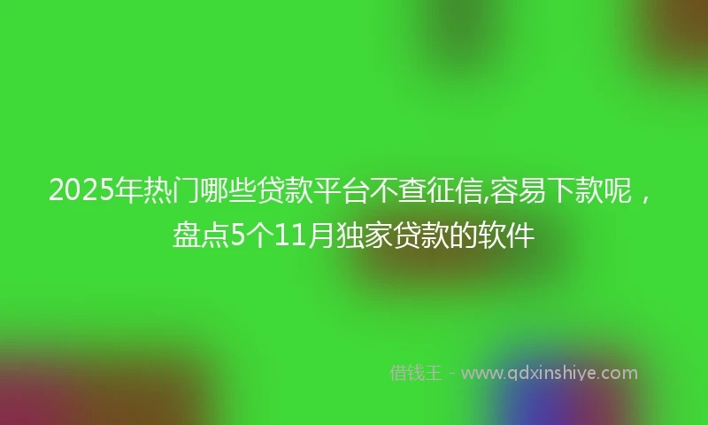 2025年热门哪些贷款平台不查征信,容易下款呢，盘点5个11月独家贷款的软件