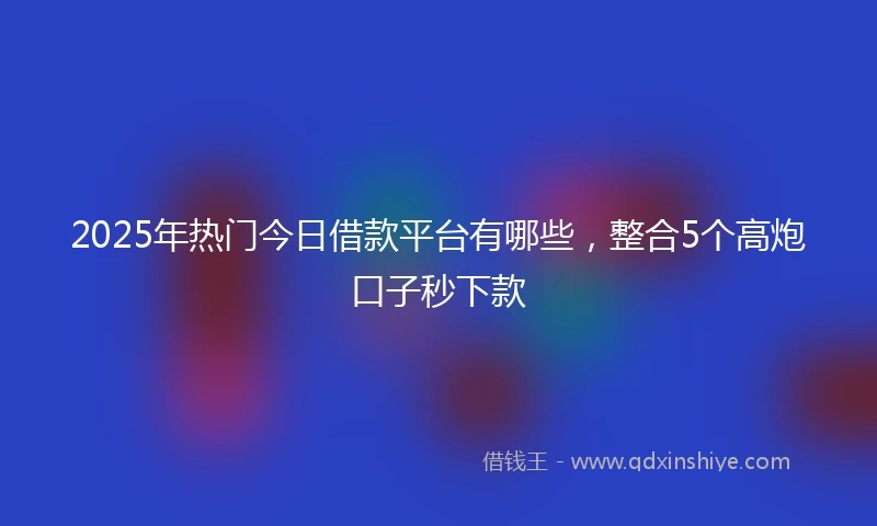 2025年热门今日借款平台有哪些，整合5个高炮口子秒下款