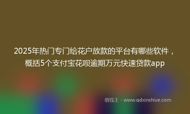 2025年热门专门给花户放款的平台有哪些软件，概括5个支付宝花呗逾期万元快速贷款app