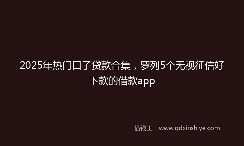 2025年热门口子贷款合集，罗列5个无视征信好下款的借款app