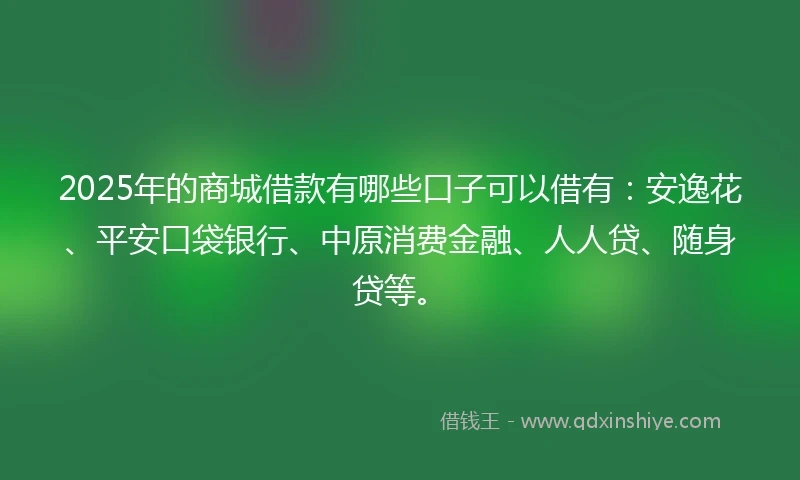 2025年的商城借款有哪些口子可以借有：安逸花、平安口袋银行、中原消费金融、人人贷、随身贷等。