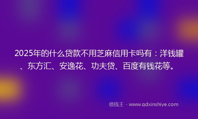 2025年的什么贷款不用芝麻信用卡吗有：洋钱罐、东方汇、安逸花、功夫贷、百度有钱花等。
