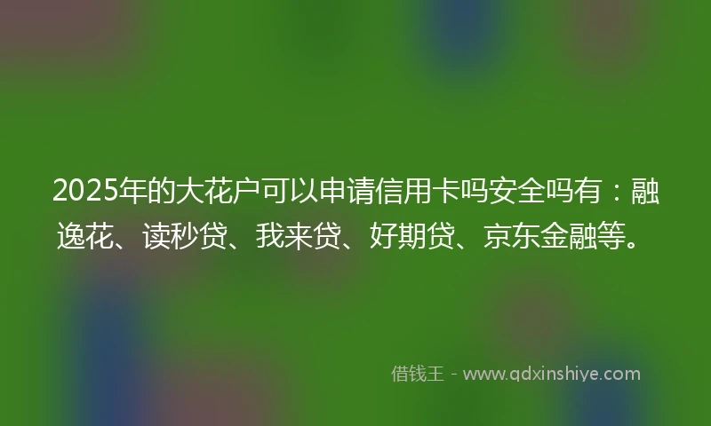 2025年的大花户可以申请信用卡吗安全吗有：融逸花、读秒贷、我来贷、好期贷、京东金融等。