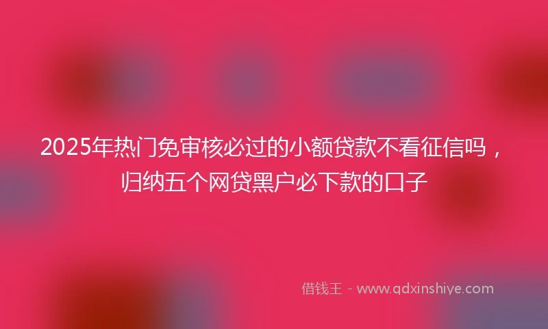 2025年热门免审核必过的小额贷款不看征信吗，归纳五个网贷黑户必下款的口子