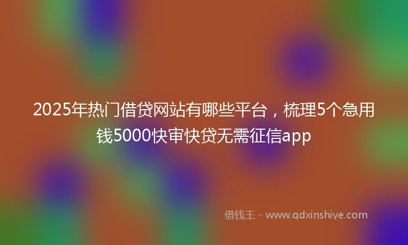 2025年热门借贷网站有哪些平台，梳理5个急用钱5000快审快贷无需征信app