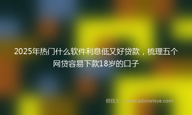 2025年热门什么软件利息低又好贷款，梳理五个网贷容易下款18岁的口子